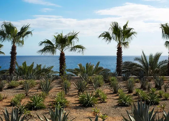 Casa Maat At Jw Marriott Cabos & 5*