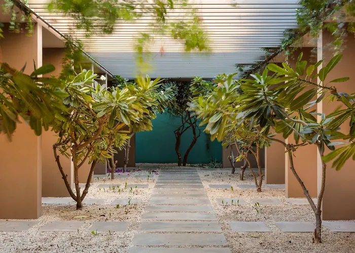 Hotel Casa Maat At Jw Marriott Cabos &